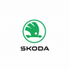 Штатные магнитолы Skoda (1)