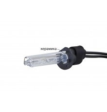 Ксеноновая лампа Infolight H1 (+50%) 6000K