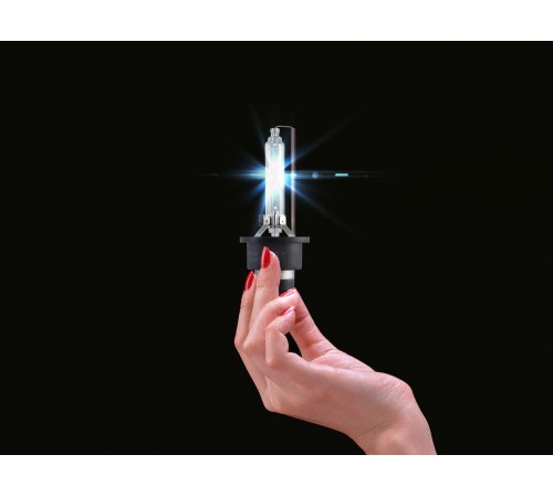 Ксеноновая лампа Infolight D4S (+50%) 4300K