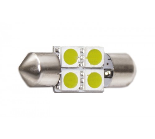 T11-005(31mm) 5050-4 12V ST