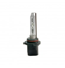 CYCLONE H11 (5000K) 35W BUSINESS